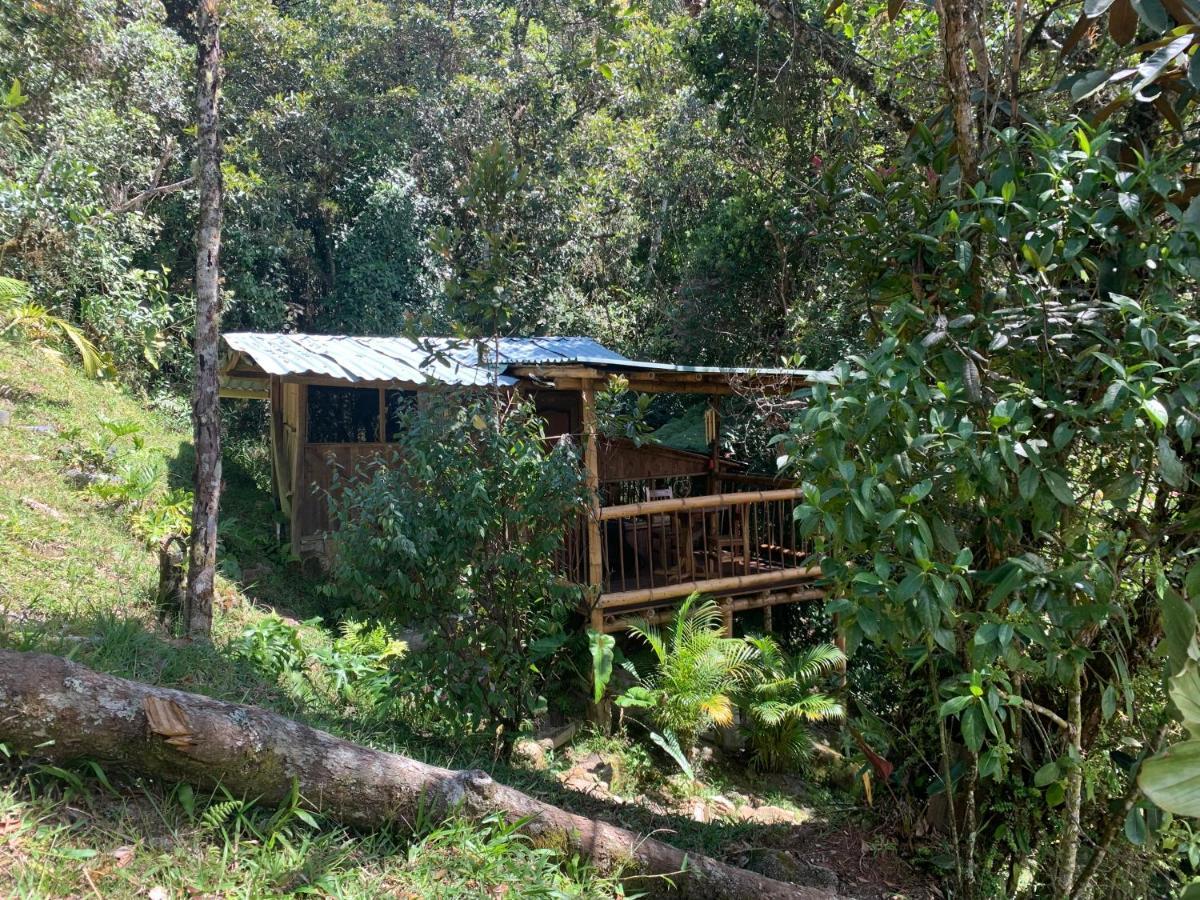 La Casa De Loto Retreat Guatapé Exterior photo